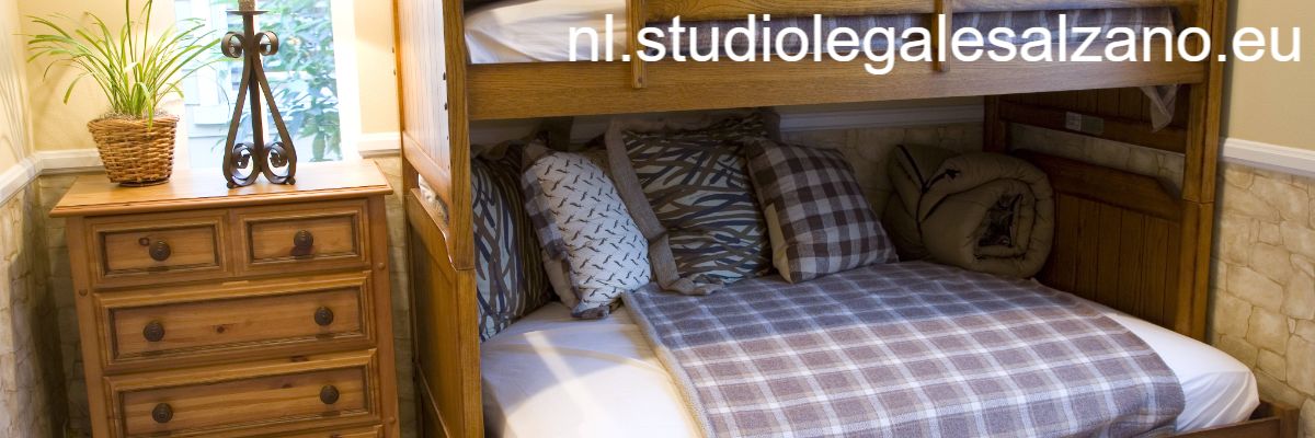 nl.studiolegalesalzano.eu